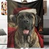 1Pc Cartoon Print Flannel Blanket, High Quality Comfortable for All Seasons, Home Decor, Warmth and Comfort, Perfect for Christmas Birthday Gift