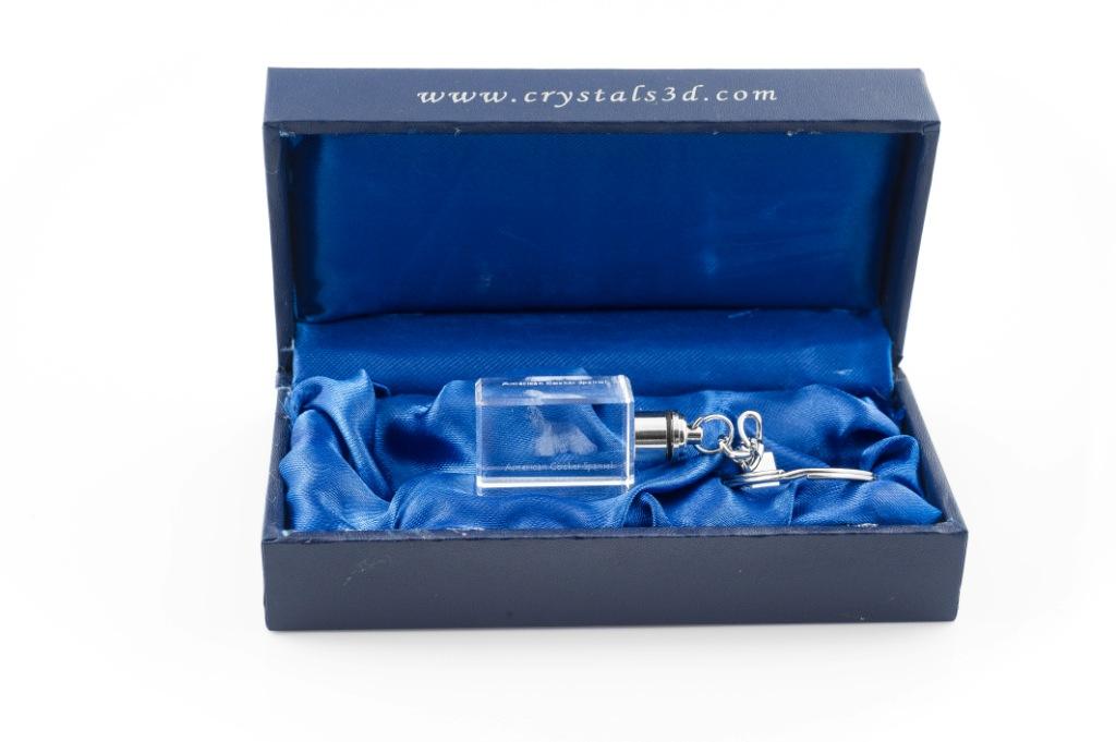 American Cocker Spaniel, Merry Cocker - Crystal key ring with dog photo, illuminated key ring, unique gift by Art-Dog brand