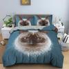Kanadský Sphynx Cat Povlak na přikrývku King Queen Lovely Pet Kitty Sada ložního prádla Děti Teens Dospělí Roztomilé zvíře Měkký Polyester Povlak na přikrývku
