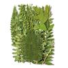Pressed Dried Leaves Plant for Resin Molds Natural Pressed Dried Leaves For Scrapbooking Soap Candle Jewelry Making