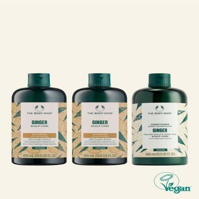 Ingwer Shampoo & Spülung 2+1 Set