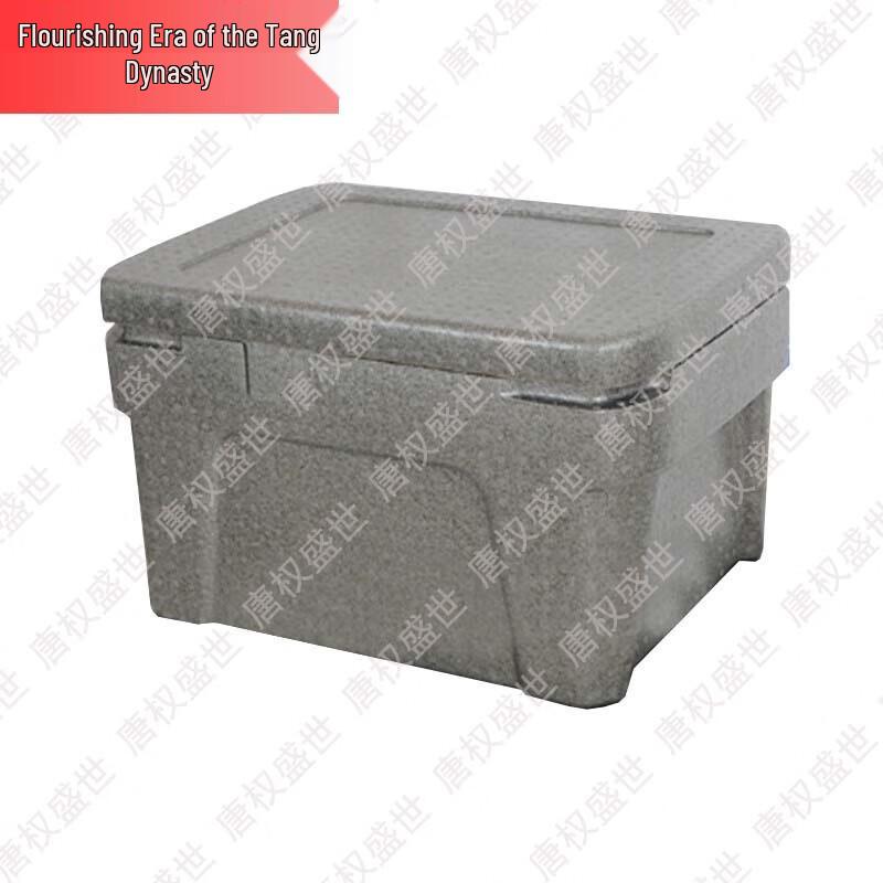 EPP Lightweight Cold Chain Cooler Box