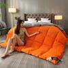 New Double Color White Goose Down Quilt For Five Star Hotels Four Seasons Down Quilt Core Winter Home Thick Quilt