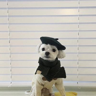 Style Ins Couleur Unie Fournitures pour Animaux Chapeau en Laine Peintre Accessoires pour Chiens Béret Mini Décoration Couvre-chef pour Photo