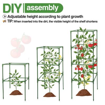 1 Set Tomatenkäfig, höhenverstellbar, einfach zu montieren, vertikale Kletterpflanzen, Gemüsespalier, Blumen, Pflanzenstütze, Tomatenstütze, Gartenspalier