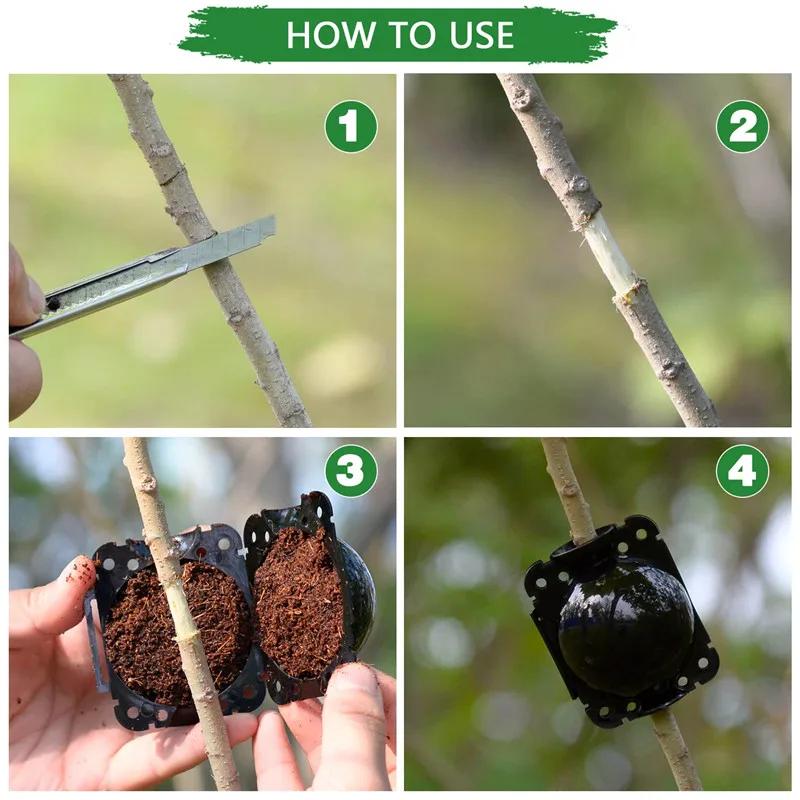 3PCS Plant Rooting Ball Grafting Rooting Box Breeding Case Plant Root Growing Box for Garden 5/8/12cm In Diameter Planting Tools