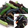 6/12Pcs Realistic Crawl Insect Hairpins Prank Halloween Hair Claw Durable Girl Scary Headwear  Kids