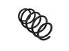 Ft01962 Fast Spring Suspension Front