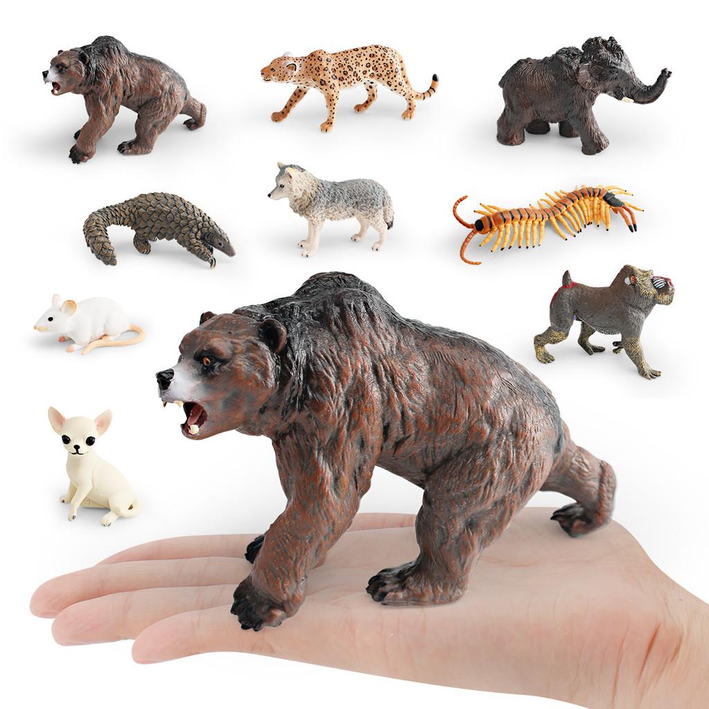 Leopards Pvc Wolves Figure Realistic Wildlife Models For Kids Learning Playtime