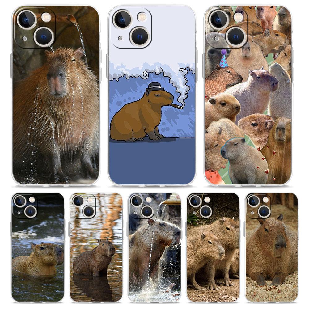 Cute Capybara Luxury Transparent Phone Case For iPhone 15 16 14 13 12 11 Pro Max XS X XR SE 7 8 Plus Clear Lens Protect Cover