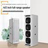SHILE Conference Room Sound System with Amplifier & Wireless Mics CN plug (adapter included)