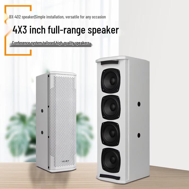 SHILE Conference Room Sound System with Amplifier & Wireless Mics CN plug (adapter included)