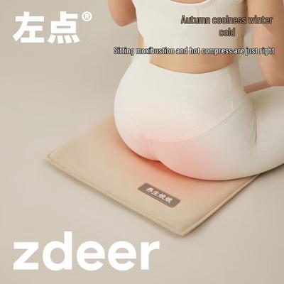 Zuodian Empress Herbal Heat Therapy Cushion CN Plug (adapter Included)