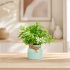 Mini Simulated Potted Plant No Simulate Plants Plastic Green 1 Pc
