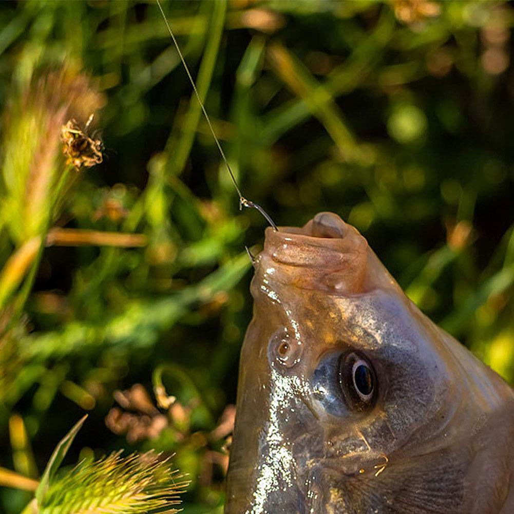 Fishing Hooks High Carbon Stainless Steel Barbed Carp Pack With Retail Original Box Fishing Hook Tackle Supplies