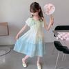 Girls' Fashionable Ombre Dress: Summer Princess Dress for Kids