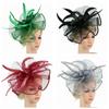 Haarschmuck Feder Blume Stirnband Fascinator Hut Federn Haarspange Teeparty Stirnband