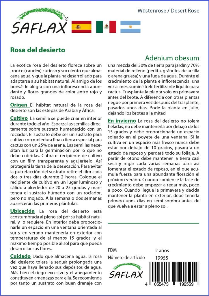 SAFLAX Desert Rose - 8 Seeds - Adenium Obesum
