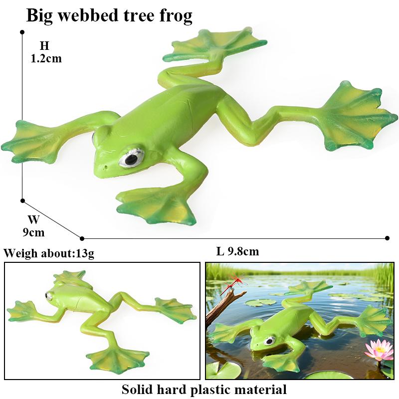 Oenux Wild Animals Bullfrog Model Simulation Tadpole Hatch Frog Growth Cycle Action Figures PVC Cute Educational Toys Kids Gift