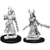 WizKids D&D Nolzur's Marvelous Miniatures Female Human Druid