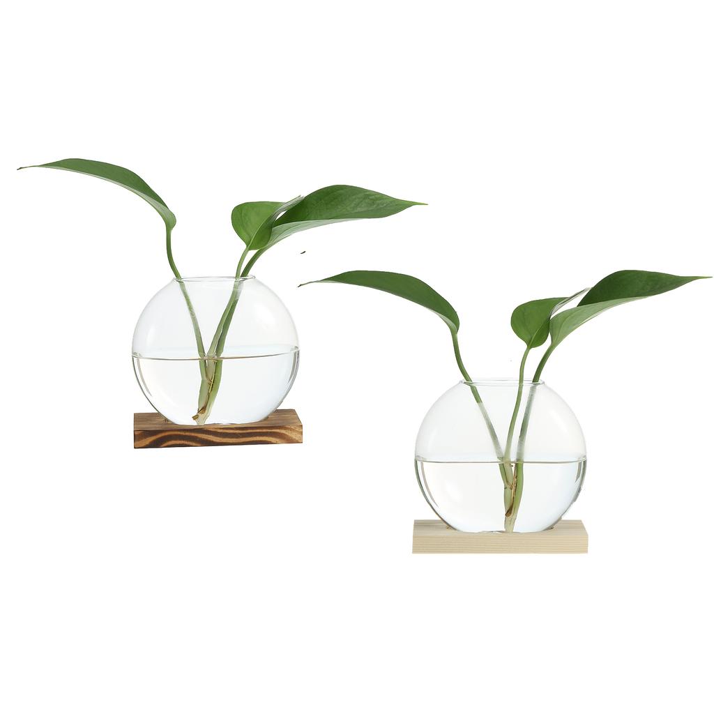 2pcs Hydroponics Glass Vase with Wooden Tray Bud Vases Plant Propagation Station Flower Vase for Bedroom Home Table Decoration