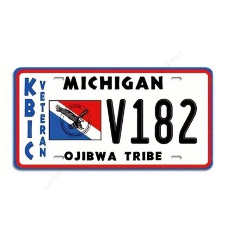 USA Souvenir License Plate, Metal Car Wall Decor 15x30cm