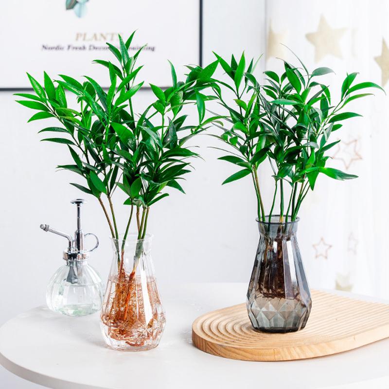 1 Pcs Creative Transparent Plastic Flower Vase Hydroponic Vase Living Room Desktop Decoration Wedding Centerpiece Arrangement