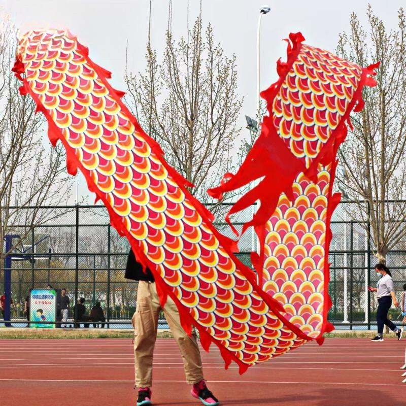 Dragon Dance Ribbon with Head Chinese New Year Gift Festival Performance Props Outdoor Fitness Wu Long Products