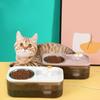 Cat Water Fountain & Food Bowl for Food and Water Dispenser Set Automatic Pet Fountain Water Dispenser and Stainless Steel Bowl