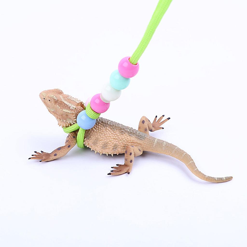 150cm Multiple Color Reptiles Leash Anti-Escape Outdoor Walking Lead Rope for Medium Large Reptiles Lizard Training
