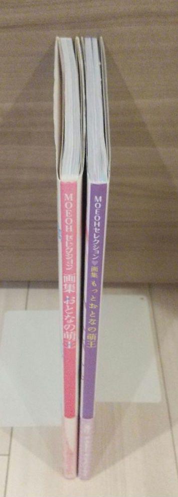 [USED] Art Book: Adult Moe King, More Adult Moe King, 2-Book Set