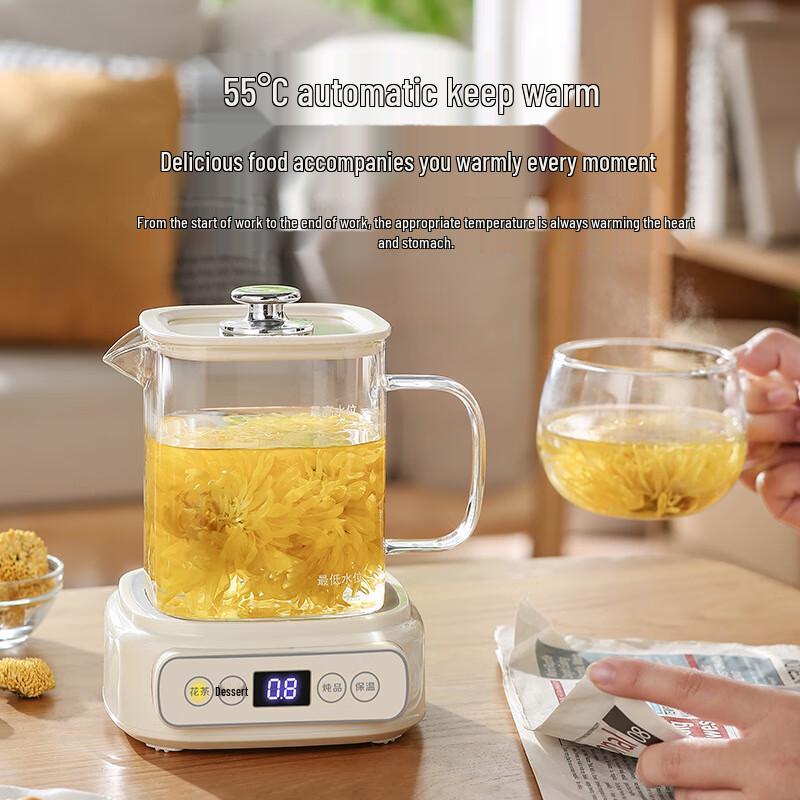 Meizhishang Multifunction Glass Health Kettle