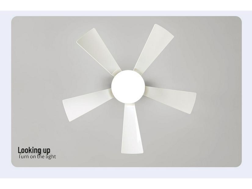 2024 Small Ceiling Fan Light with Removable Blades, E27 Base - Ideal for Bedrooms and Living Rooms