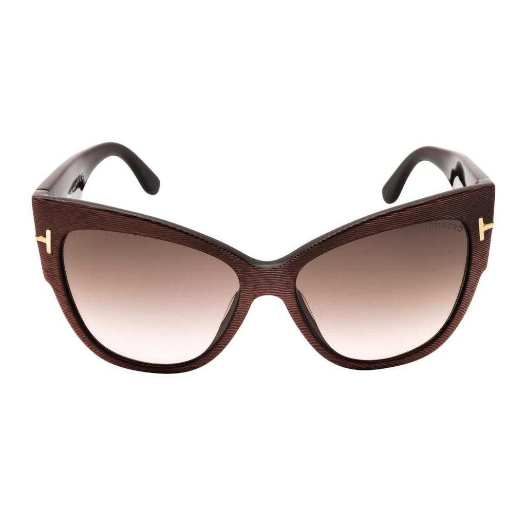 Tom Ford Womens/Ladies Gradient Sunglasses