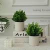 European Fresh Simulation Green Plant Potted Ornament for Home Decor