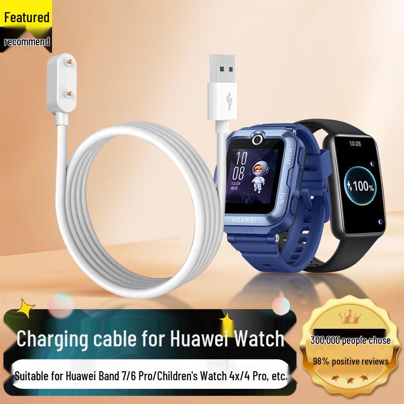 Trendsetter Magnetic Charging Cable