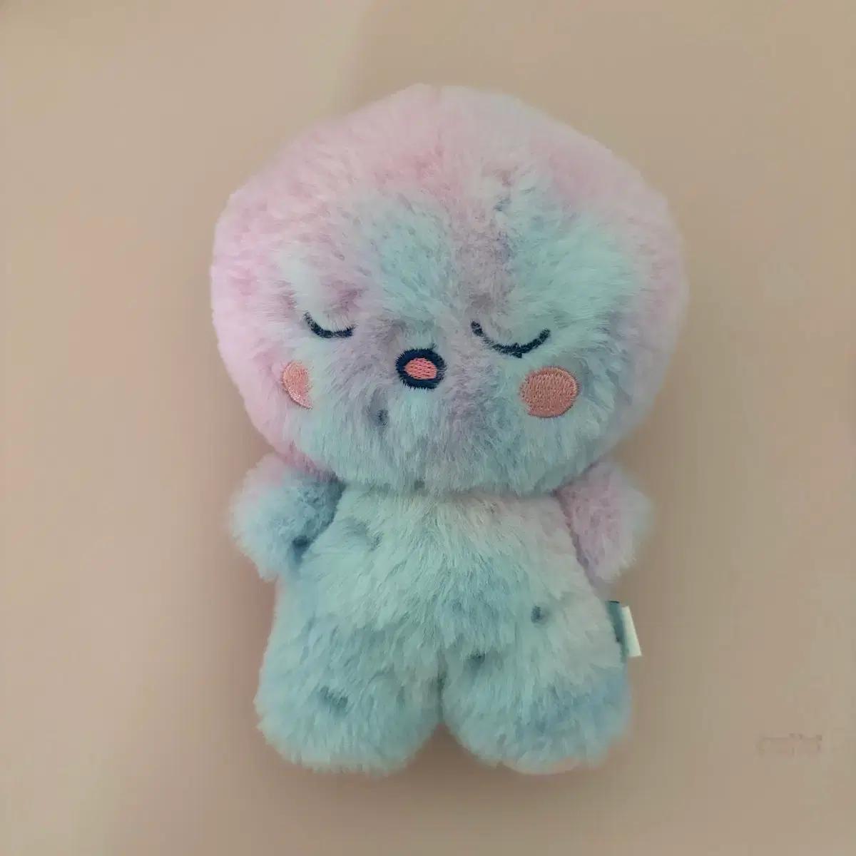 

RIIZE Ginshi Midnight B Version Doll Used