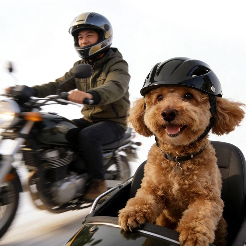 Casque respirant pour animaux de compagnie à la mode Sangle en nylon Sangle réglable Casque pour chien Léger Casque pour chat Couvre-chef pour animaux de compagnie