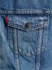 Демисезонная куртка Levi's Type 3 Sherpa Trucker Jacket fable