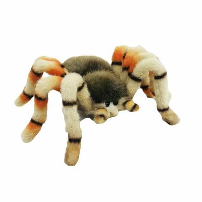 Skákající pavouk (29 cm W)