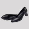 Work Shoes Single Order Shoes Women's Leather Shoes Pointed Toe Thick Heel Versatile Shallow Mouth Women's Shoes