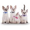 Pink Breakaway Cat Collar with Bells, 2 Pack Break Away Kitten Collar with Bells, Female Cat Collar for Girl Cats Kitty