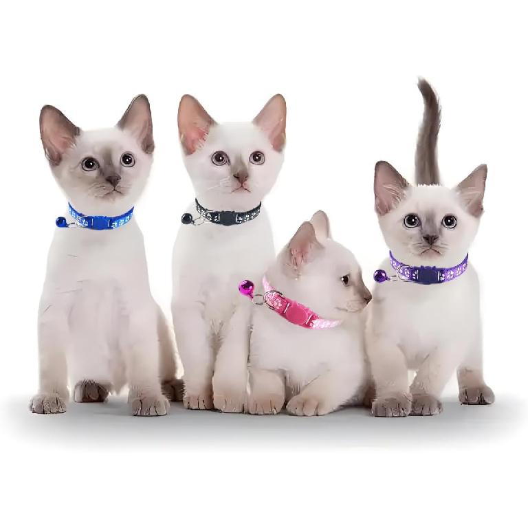 Pink Breakaway Cat Collar with Bells, 2 Pack Break Away Kitten Collar with Bells, Female Cat Collar for Girl Cats Kitty