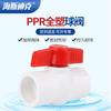 Hestik PPR All-Plastic Hot Melt Ball Valve Pipe Fitting HKCL-928