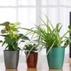 Flower Pot Good Toughness Self Watering Plastic Anti-wet Large Planter Household Supplies