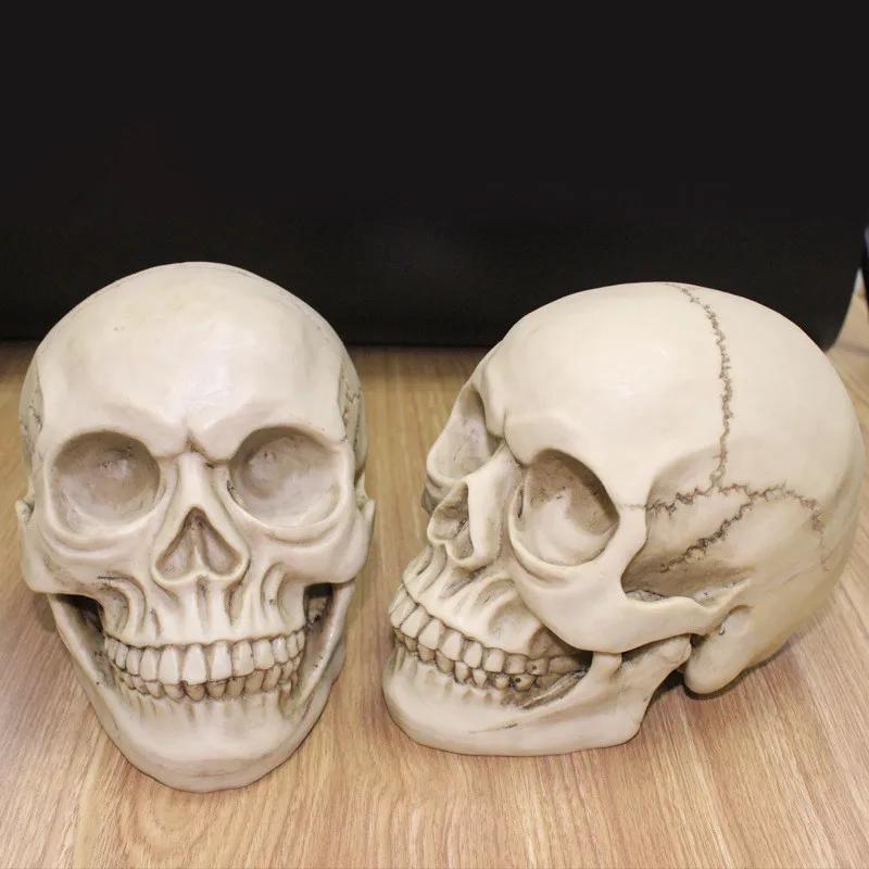 1:1 pryskyřičná socha lebky, vzdělávací a malířská, specializovaná lékařská modelová sada, realistický bytový dekorační 3D model lebky 19*15*14 cm