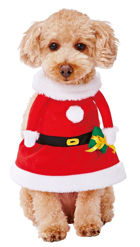 Petio Christmas Dog Kigurumi Wear Santa Girl M Size