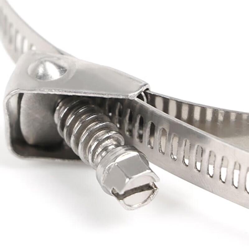 LijiuHong Edelstahl lösbare Klemmschlaufe