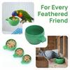 25Pcs Green Mini Bird Parrots Food Water Bowl Parrots Food Water Bowl  Bird Cage Installation