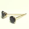 Candy K10 Onyx Round Earrings [Candy] BCktmt-on-yg